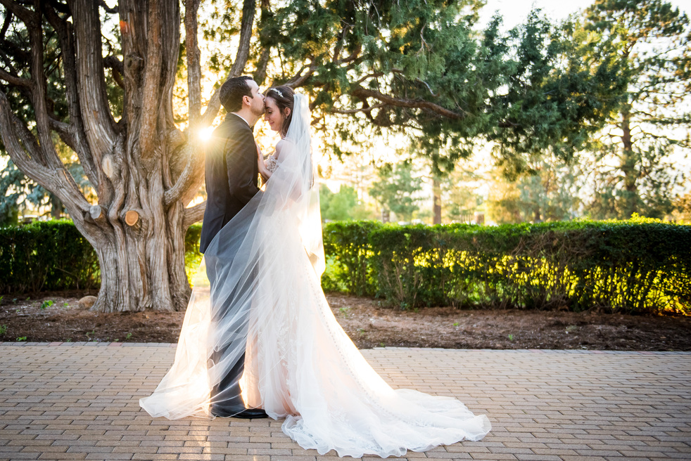 A bride and groom kissing under a tree at sunset.