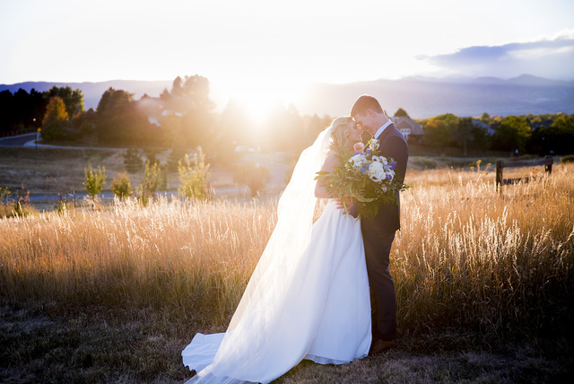 A bride and groom kissing in a golden field at The Highlands Ranch Mansion in Highlands Ranch, Colorado.